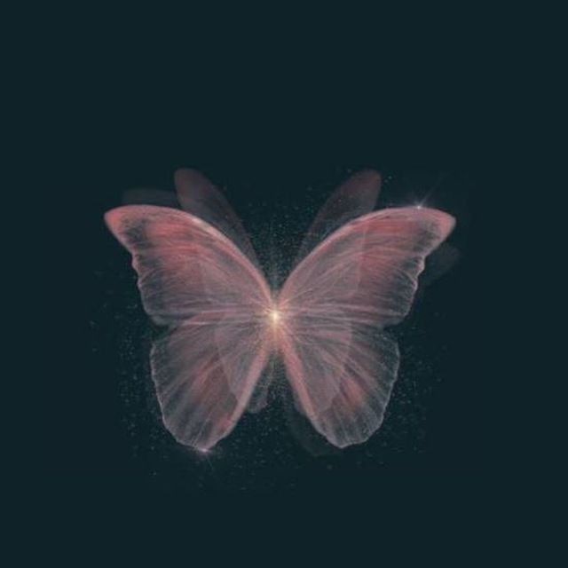 Butterfly[[EMOJI:%F0%9F%A6%8B]]