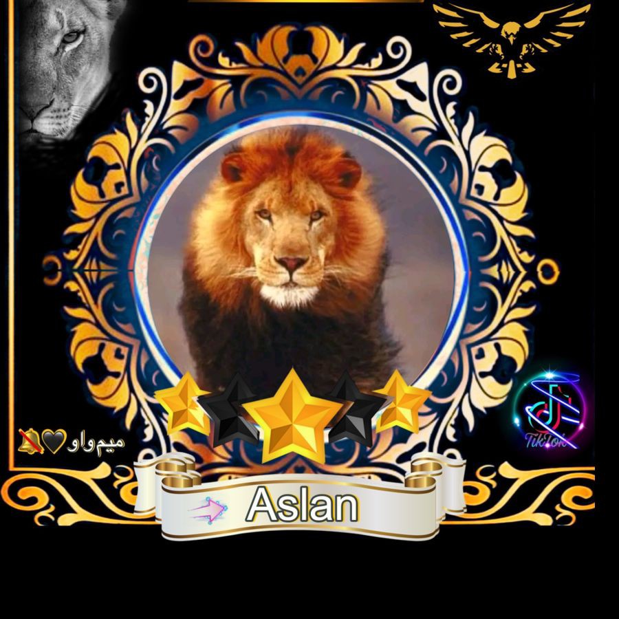 aslan .34