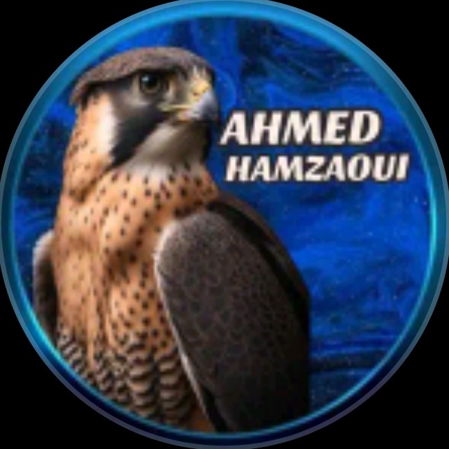 ahmed.hamzaoui